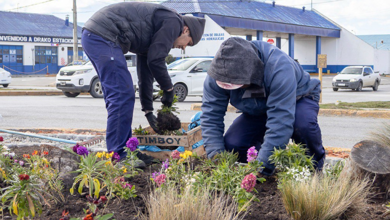 Comenzaron los trabajos para la colocación de plantines en distintos puntos de Río Grande